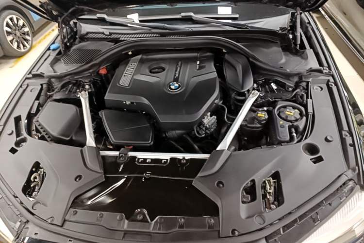 Used BMW 5 Series 2019 Facelifted 530Li Leading Edition M Sport Package Engine Bay