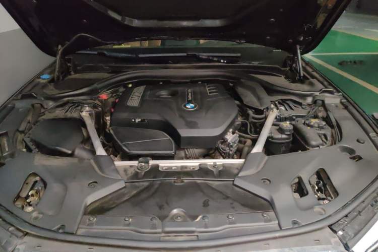 Used BMW 5 Series 2019 530Li Luxury Edition Premium Package Engine Bay