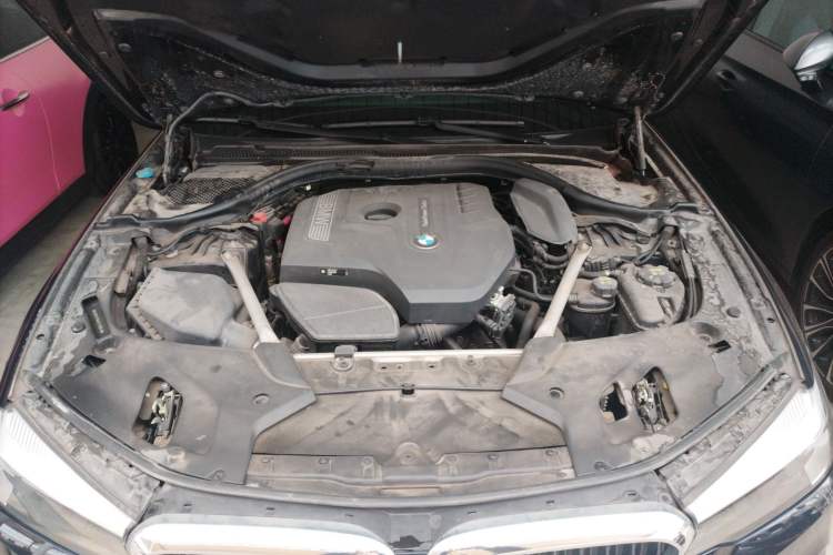 Used BMW 5 Series 2019 Facelifted 530Li Leading Edition M Sport Package Engine Bay