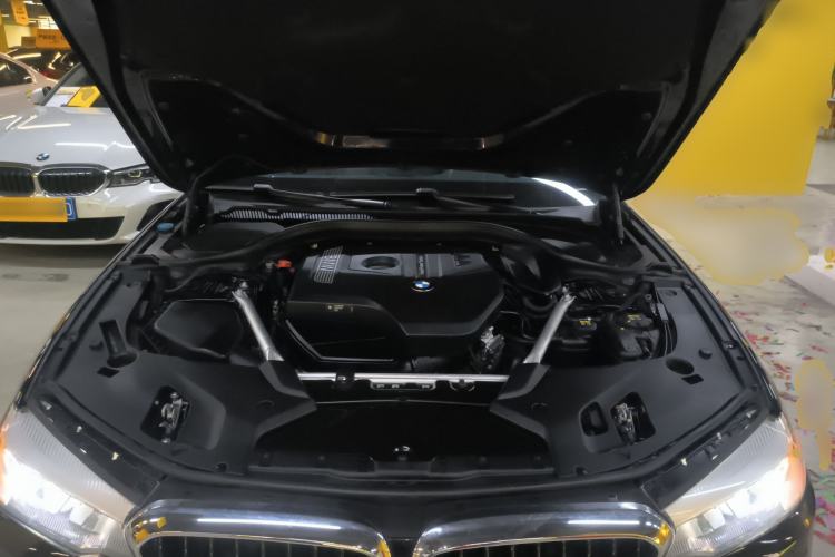 Used BMW 5 Series 2019 Facelifted 530Li Leading Edition M Sport Package Engine Bay