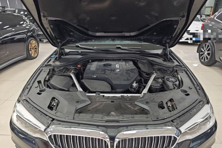 Used BMW 5 Series 2019 Facelifted 530Li Luxury Edition Premium Package Engine Bay