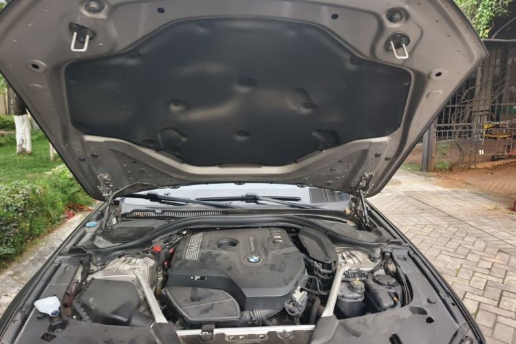 Used BMW 5 Series 2019 Facelifted 530Li Luxury Edition Premium Package Engine Bay
