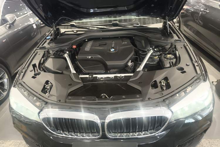 Used BMW 5 Series 2019 Restyled 525Li M Sport Package Engine Bay
