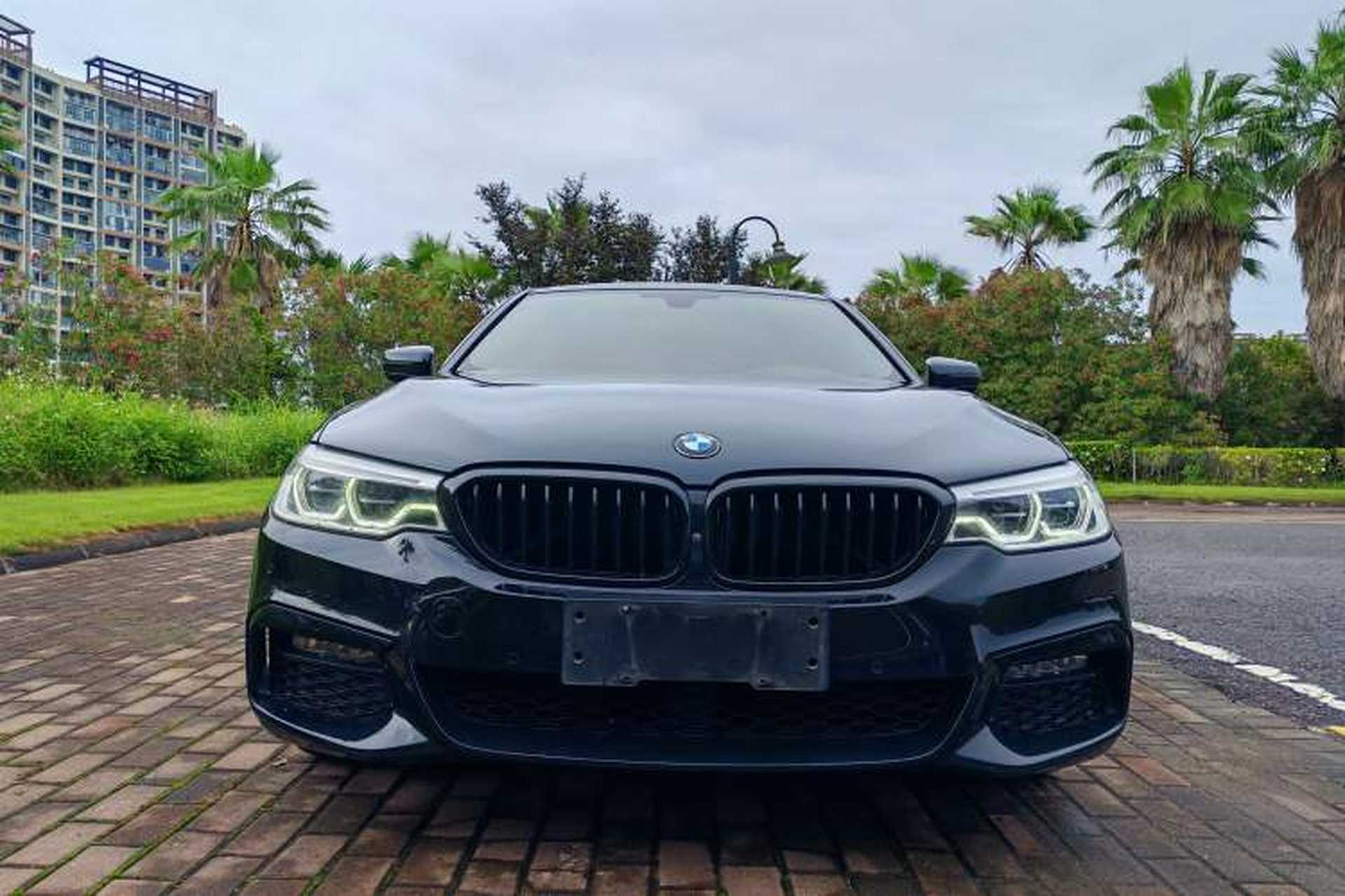 Used BMW 5 Series 2019 530Li Leading Model M Sport Package Exterior 1