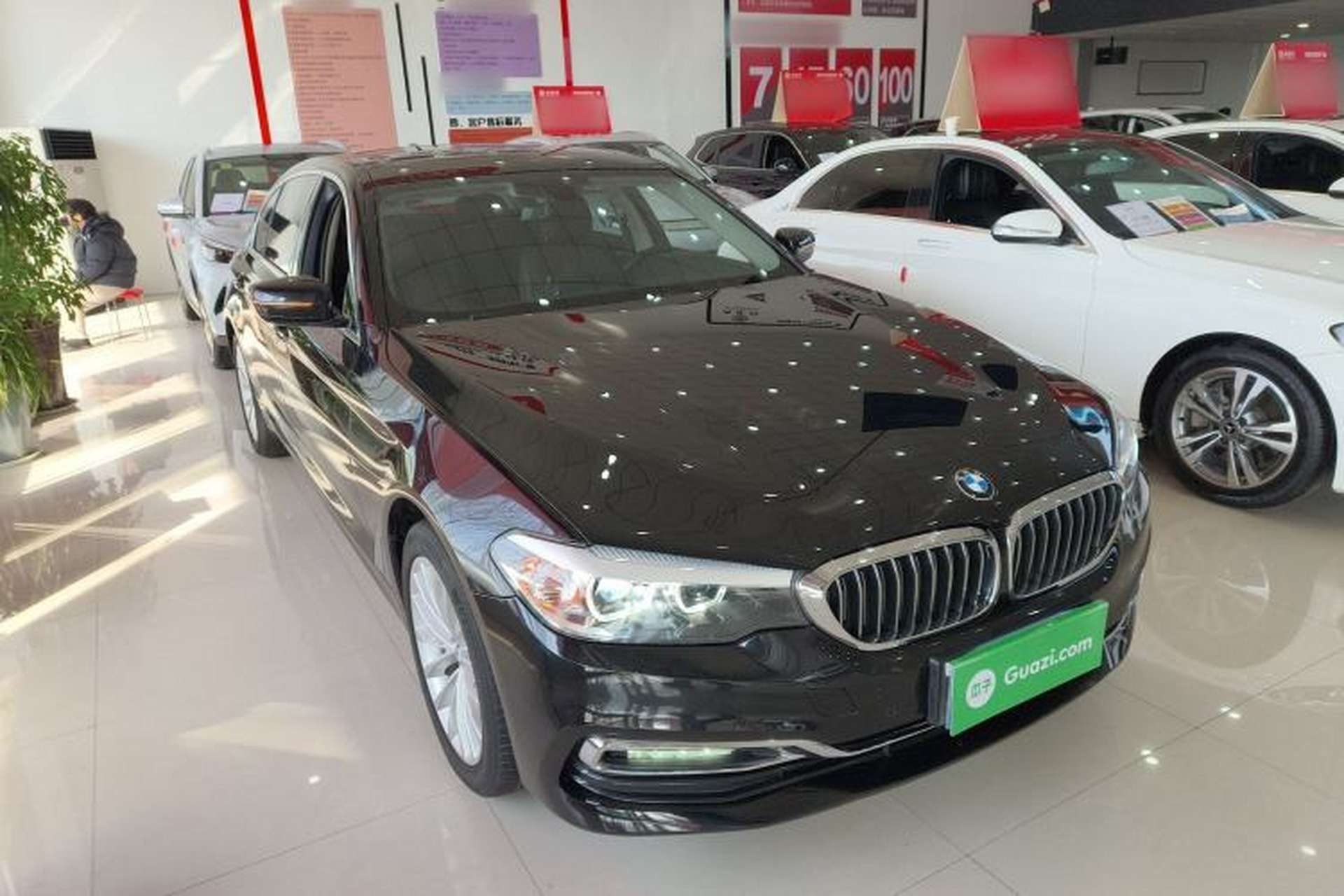 Used BMW 5 Series 2019 530Li xDrive Luxury Package Exterior 1