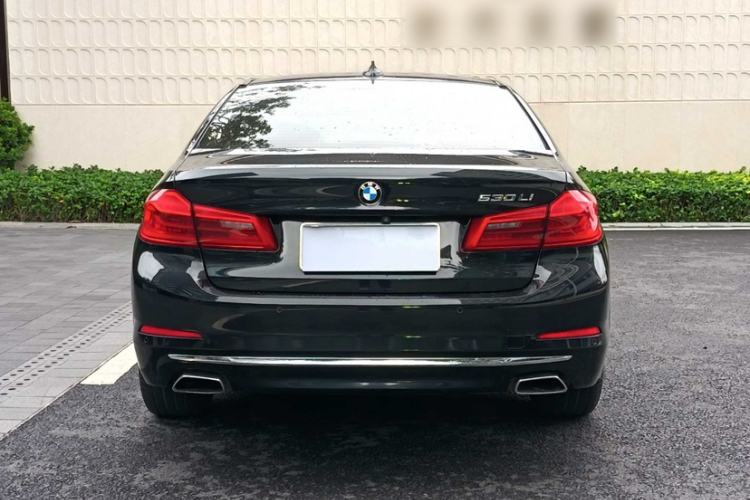 Used BMW 5 Series 2019 530Li Leading Model Luxury Package Exterior 10