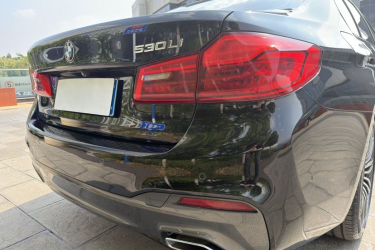 Used BMW 5 Series 2019 530Li Luxury Edition M Sport Package Exterior 10