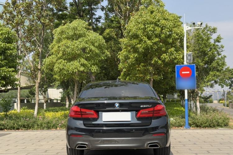 Used BMW 5 Series 2019 530Li Luxury Edition M Sport Package Exterior 14