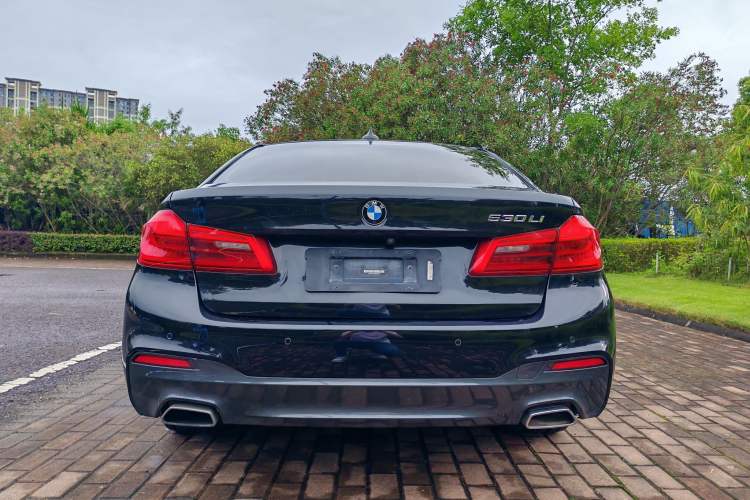 Used BMW 5 Series 2019 530Li Leading Model M Sport Package Exterior 4