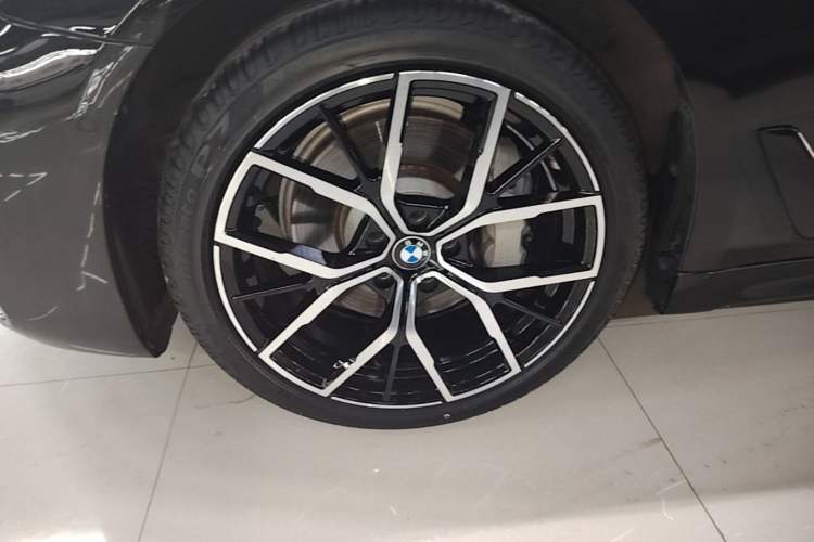 Used BMW 5 Series 2019 530Li Leading Model M Sport Package Exterior 4