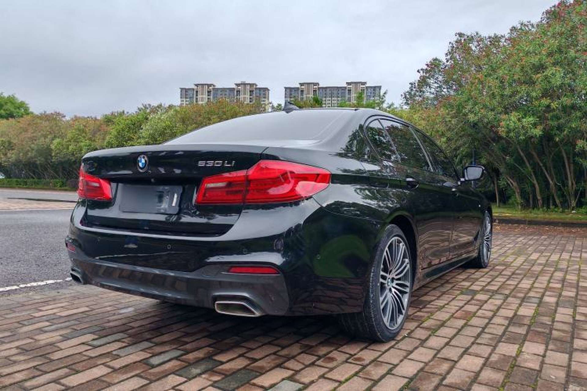 Used BMW 5 Series 2019 530Li Leading Model M Sport Package Exterior 5