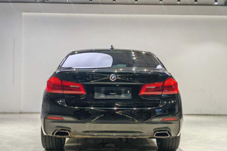 Used BMW 5 Series 2019 530Li Leading Model M Sport Package Exterior 5