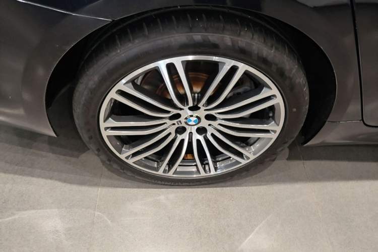 Used BMW 5 Series 2019 530Li Leading Model M Sport Package Exterior 5