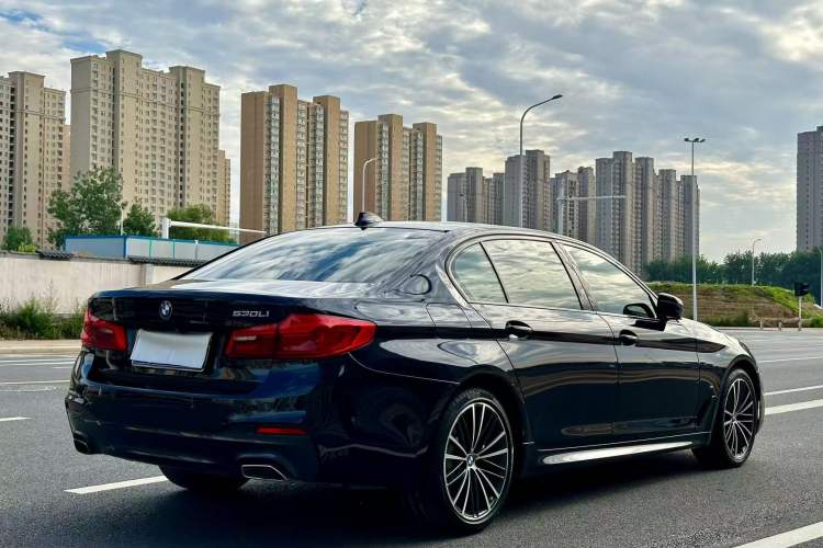 Used BMW 5 Series 2019 Restyled 530Li Luxury Edition M Sport Package Exterior 5