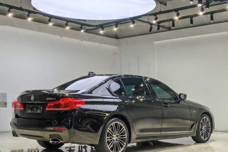 Used BMW 5 Series 2019 530Li Leading Model M Sport Package Exterior 6