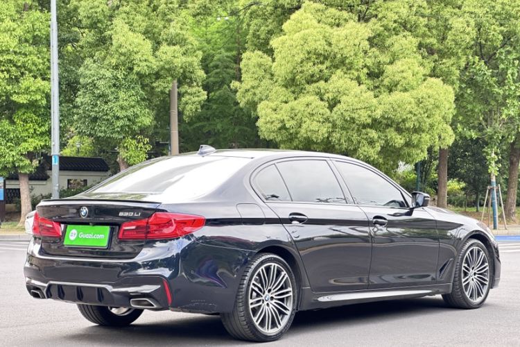 Used BMW 5 Series 2019 530Li Luxury Edition M Sport Package Exterior 6