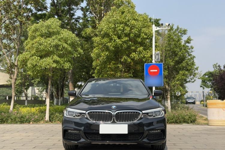 Used BMW 5 Series 2019 530Li Luxury Edition M Sport Package Exterior 6