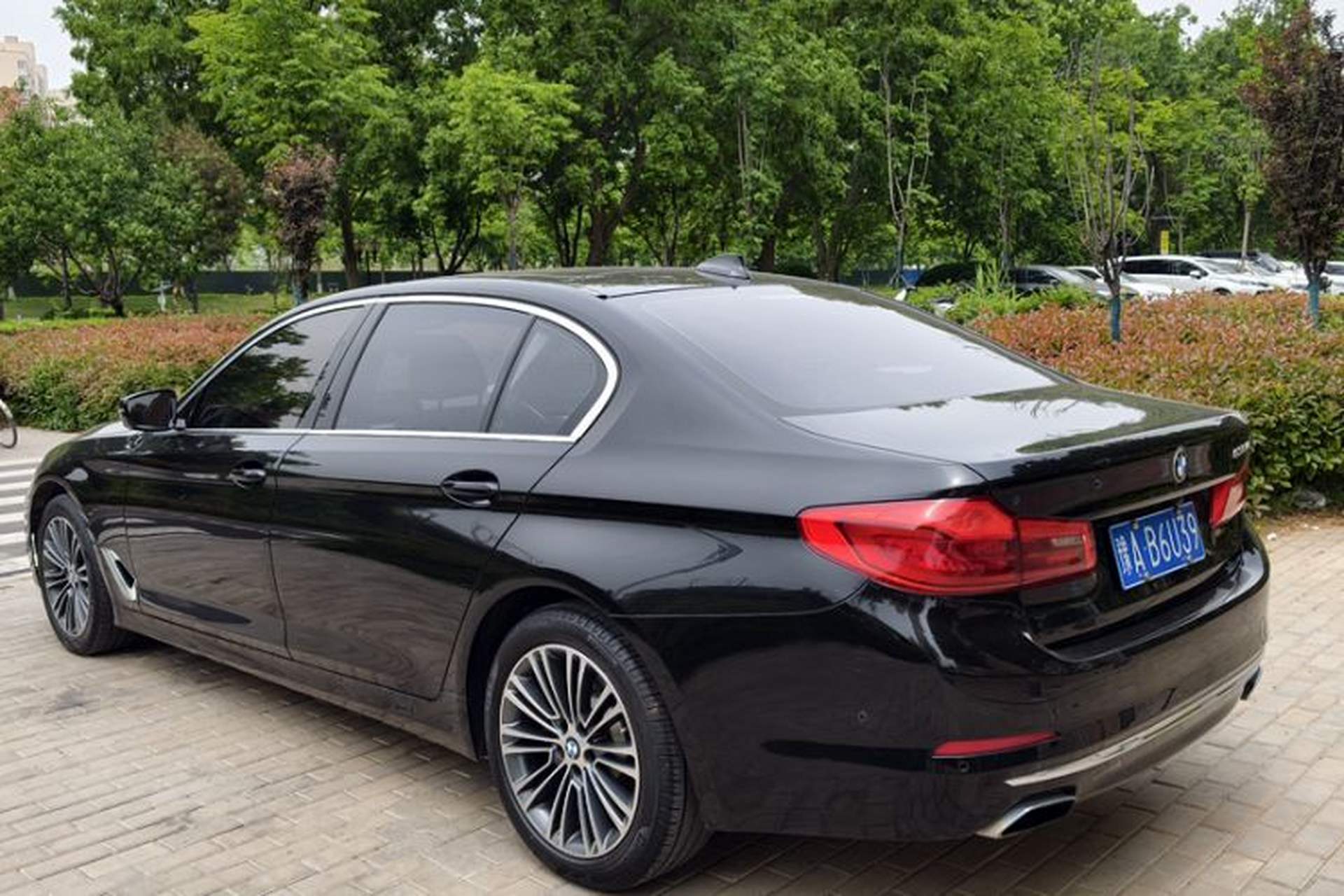 Used BMW 5 Series 2019 530Li Luxury Edition Premium Package Exterior 7