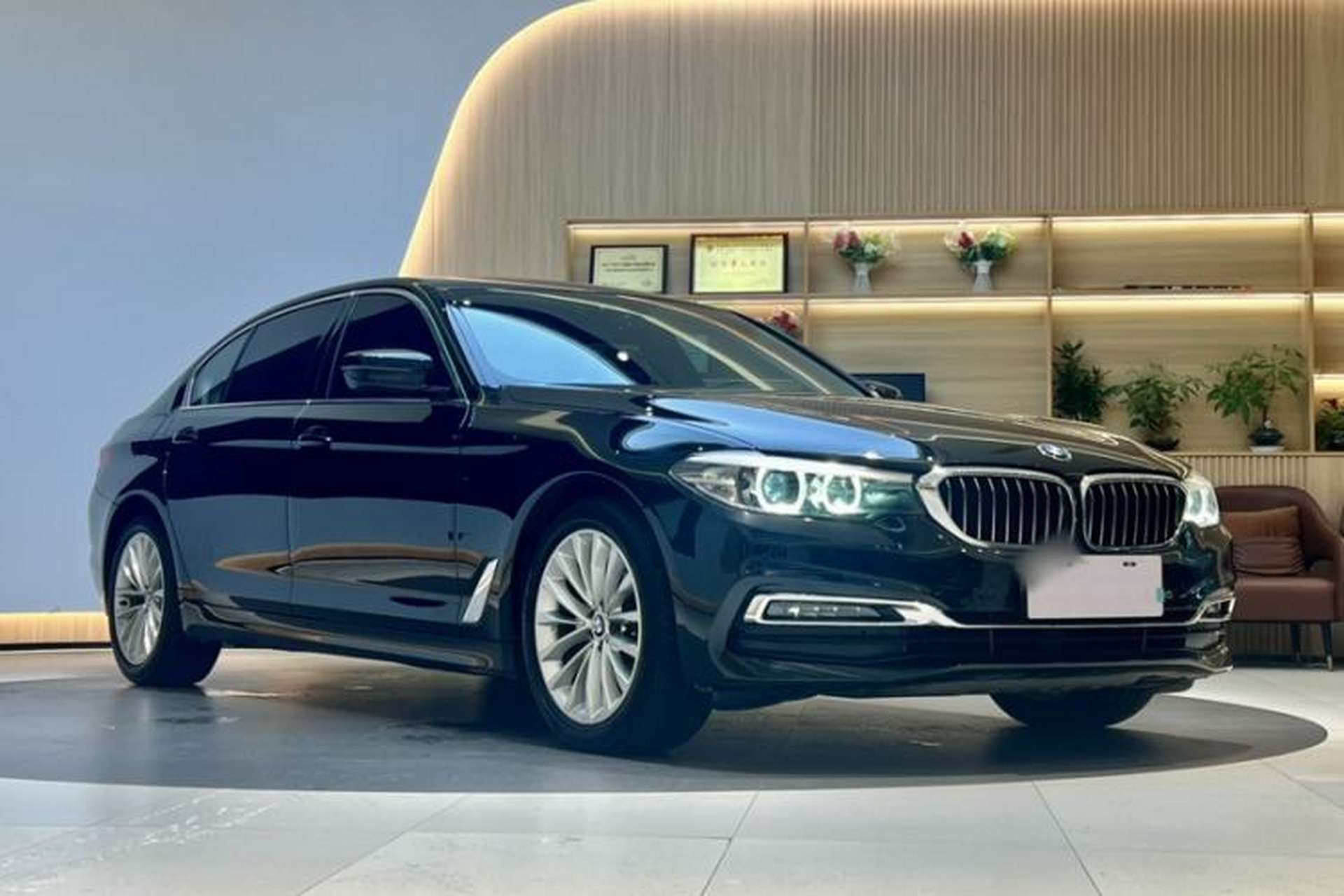 Used BMW 5 Series 2019 525Li Luxury Package Exterior 7