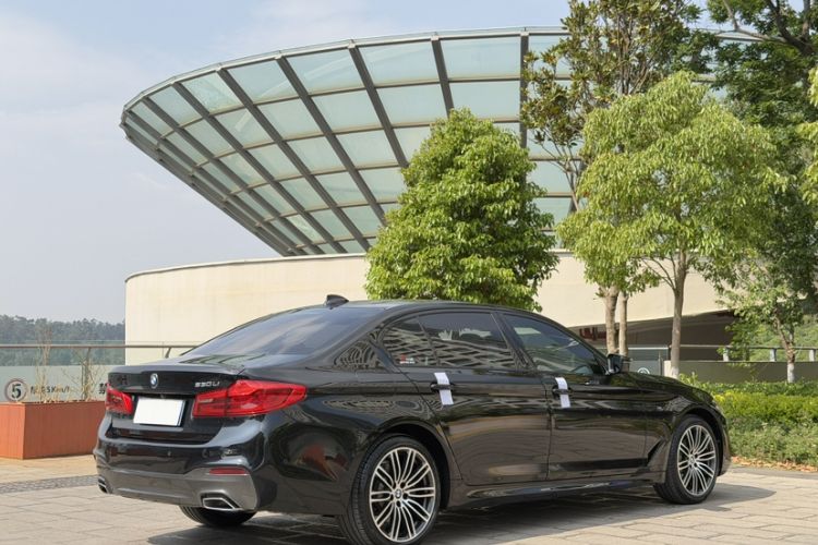 Used BMW 5 Series 2019 530Li Luxury Edition M Sport Package Exterior 7