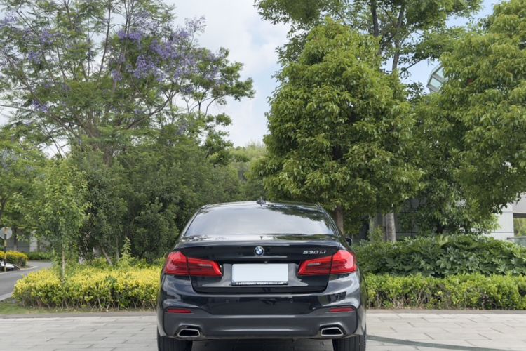 Used BMW 5 Series 2019 Facelifted 530Li Leading Edition M Sport Package Exterior 8