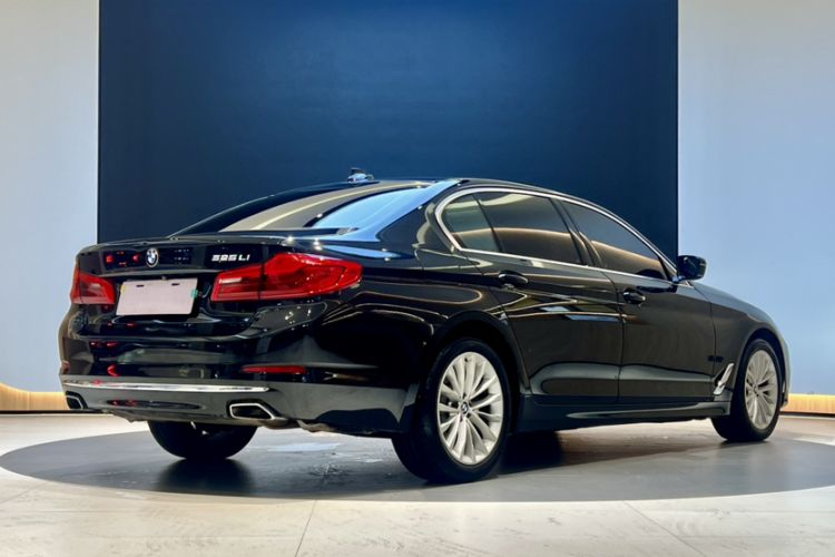 Used BMW 5 Series 2019 525Li Luxury Package Exterior 8