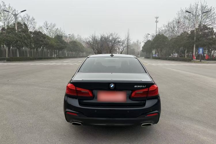 Used BMW 5 Series 2019 530Li Leading Model M Sport Package Exterior 8