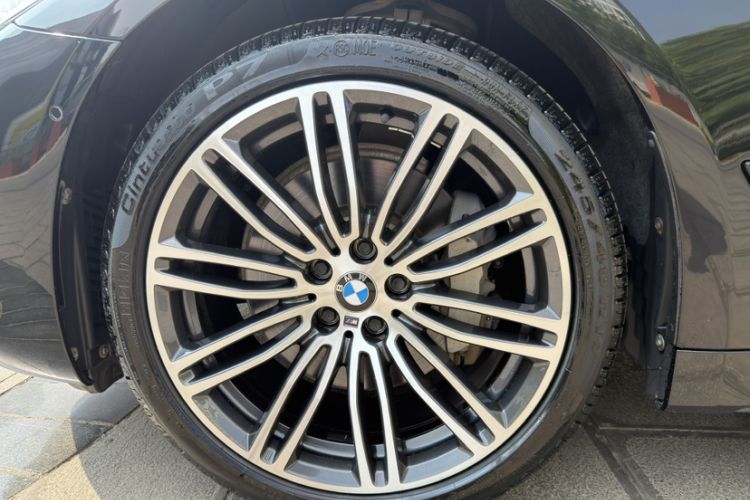 Used BMW 5 Series 2019 530Li Luxury Edition M Sport Package Exterior 9