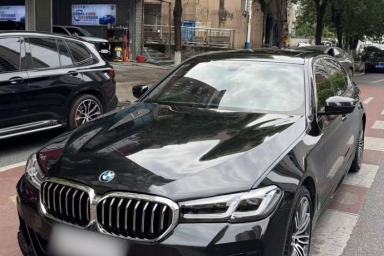 Used BMW 5 Series 2019 530Li Leading Model M Sport Package