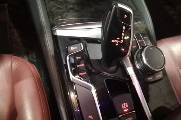 Used BMW 5 Series 2019 530Li Leading Model M Sport Package Gear Lever