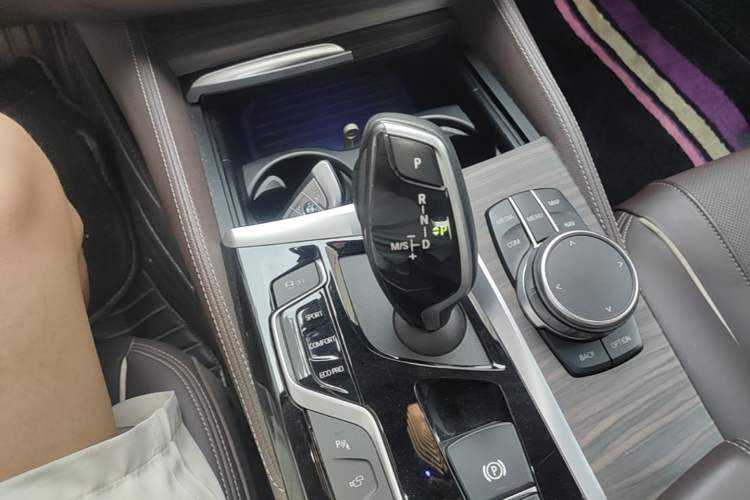 Used BMW 5 Series 2019 Facelifted 530Li Luxury Edition Premium Package Gear Lever