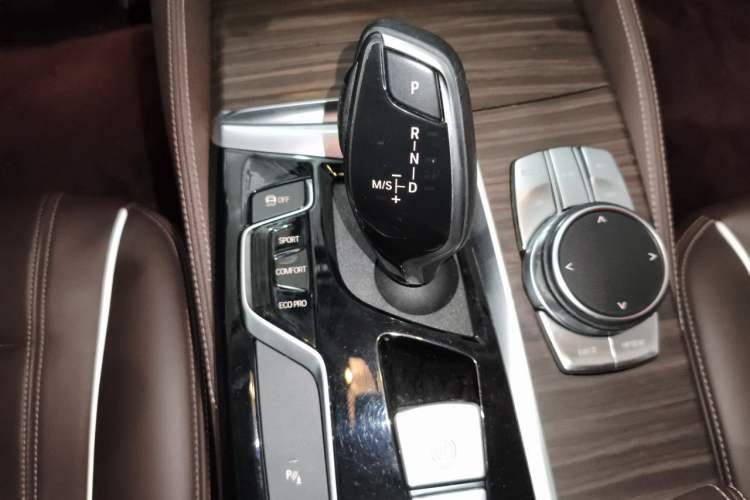 Used BMW 5 Series 2019 530Li Leading Model Luxury Package Gear Lever