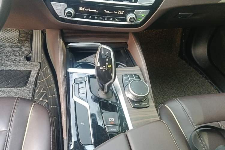 Used BMW 5 Series 2019 530Li Leading Model Luxury Package Gear Lever