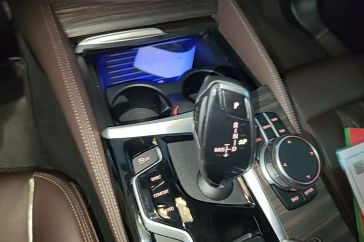 Used BMW 5 Series 2019 530Li Leading Model Luxury Package Gear Lever