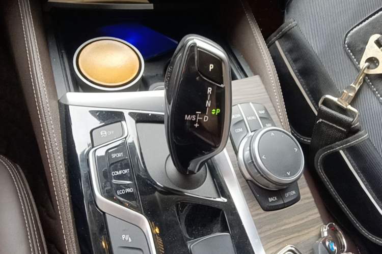 Used BMW 5 Series 2019 Facelifted 530Li Luxury Edition Premium Package Gear Lever