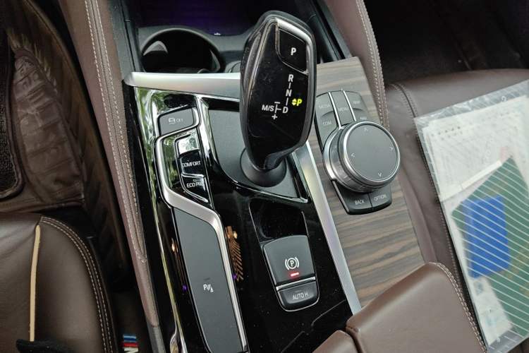 Used BMW 5 Series 2019 530Li Leading Model Luxury Package Gear Lever