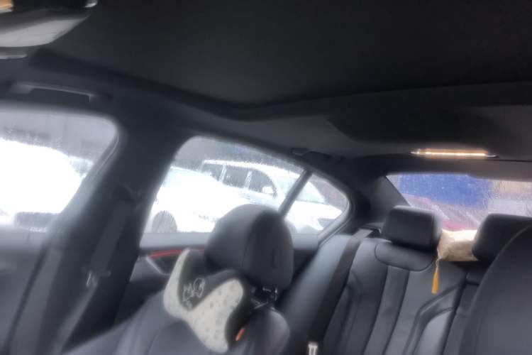 Used BMW 5 Series 2019 525i M Sport Package Headliner