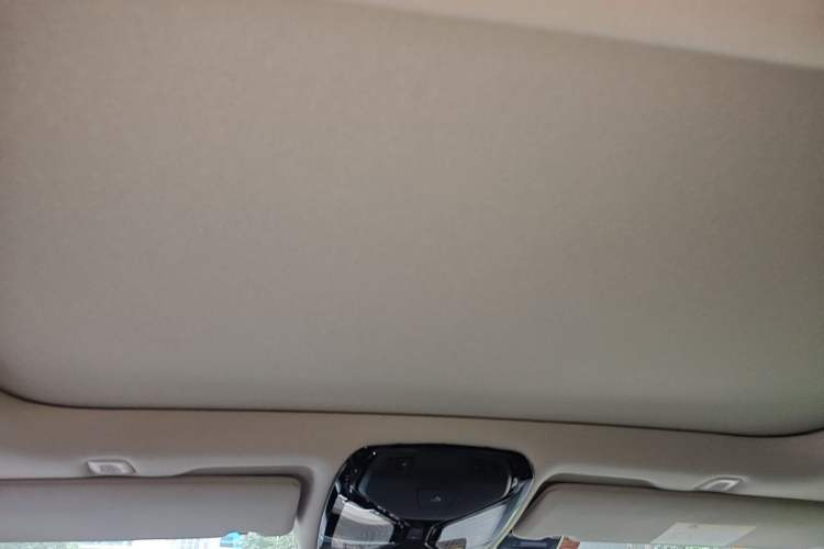 Used BMW 5 Series 2019 Facelifted 530Li Leading Edition Luxury Package Headliner
