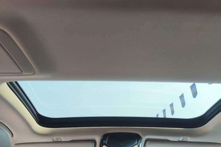 Used BMW 5 Series 2019 530Li Leading Model Luxury Package Headliner