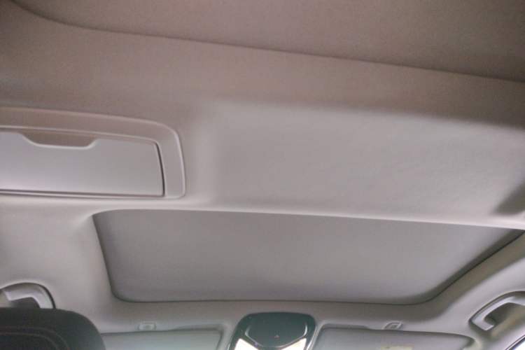 Used BMW 5 Series 2019 Facelifted 530Li Luxury Edition Premium Package Headliner
