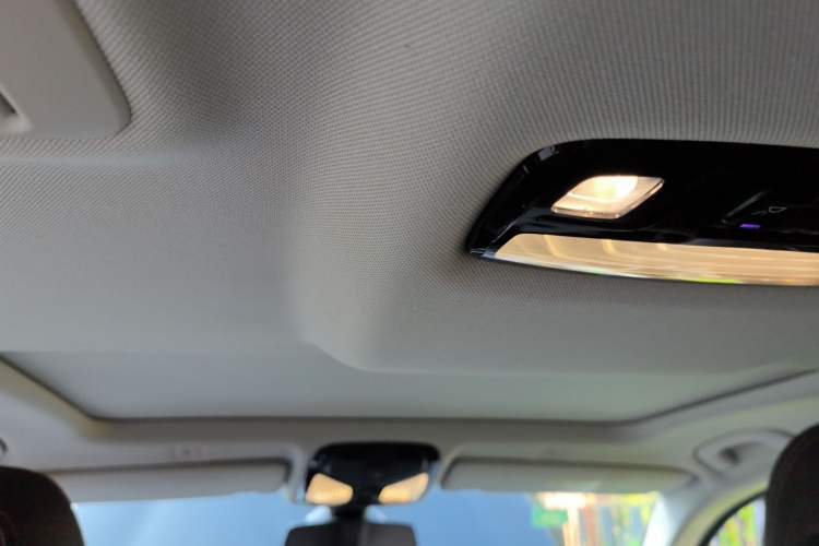 Used BMW 5 Series 2019 525Li Luxury Package Headliner