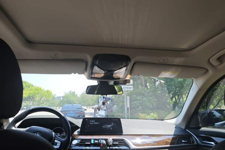 Used BMW 5 Series 2019 525Li Luxury Package Headliner