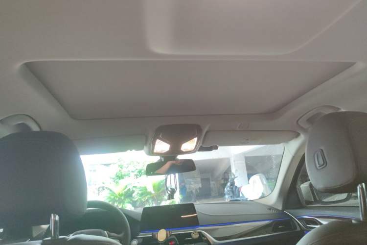 Used BMW 5 Series 2019 525Li Luxury Package Headliner