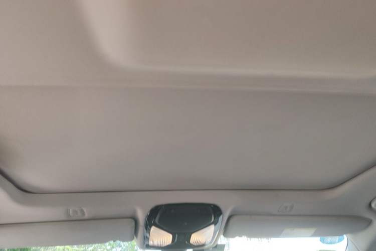 Used BMW 5 Series 2019 Facelifted 525Li Luxury Package Headliner