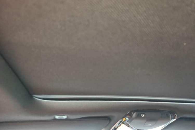 Used BMW 5 Series 2019 530Li Leading Model M Sport Package Headliner