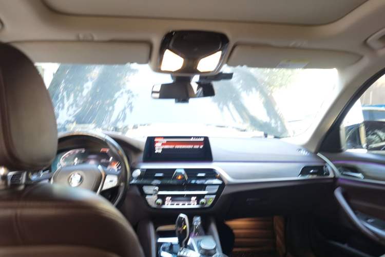 Used BMW 5 Series 2019 530Li xDrive Luxury Package Headliner