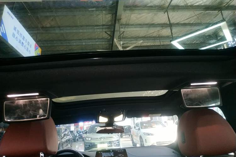 Used BMW 5 Series 2019 530Li Leading Model M Sport Package Headliner