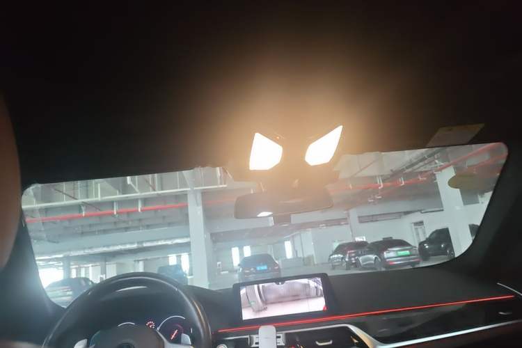 Used BMW 5 Series 2019 530Li Leading Model M Sport Package Headliner