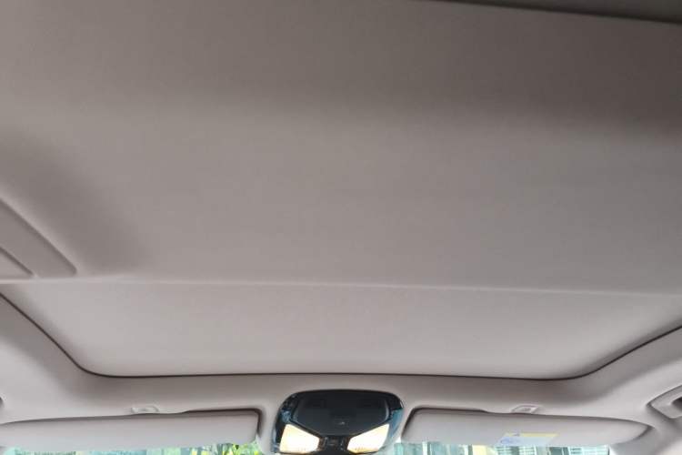 Used BMW 5 Series 2019 530Li Leading Model Luxury Package Headliner