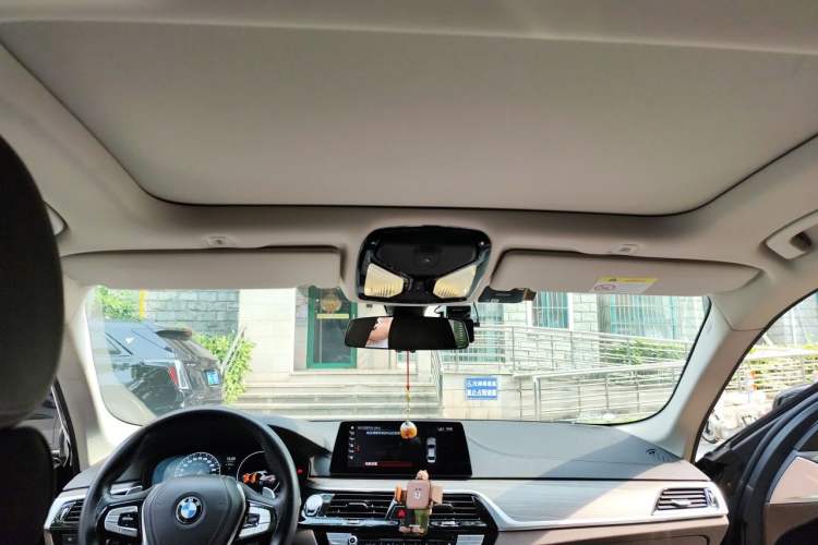 Used BMW 5 Series 2019 530Li Leading Model Luxury Package Headliner